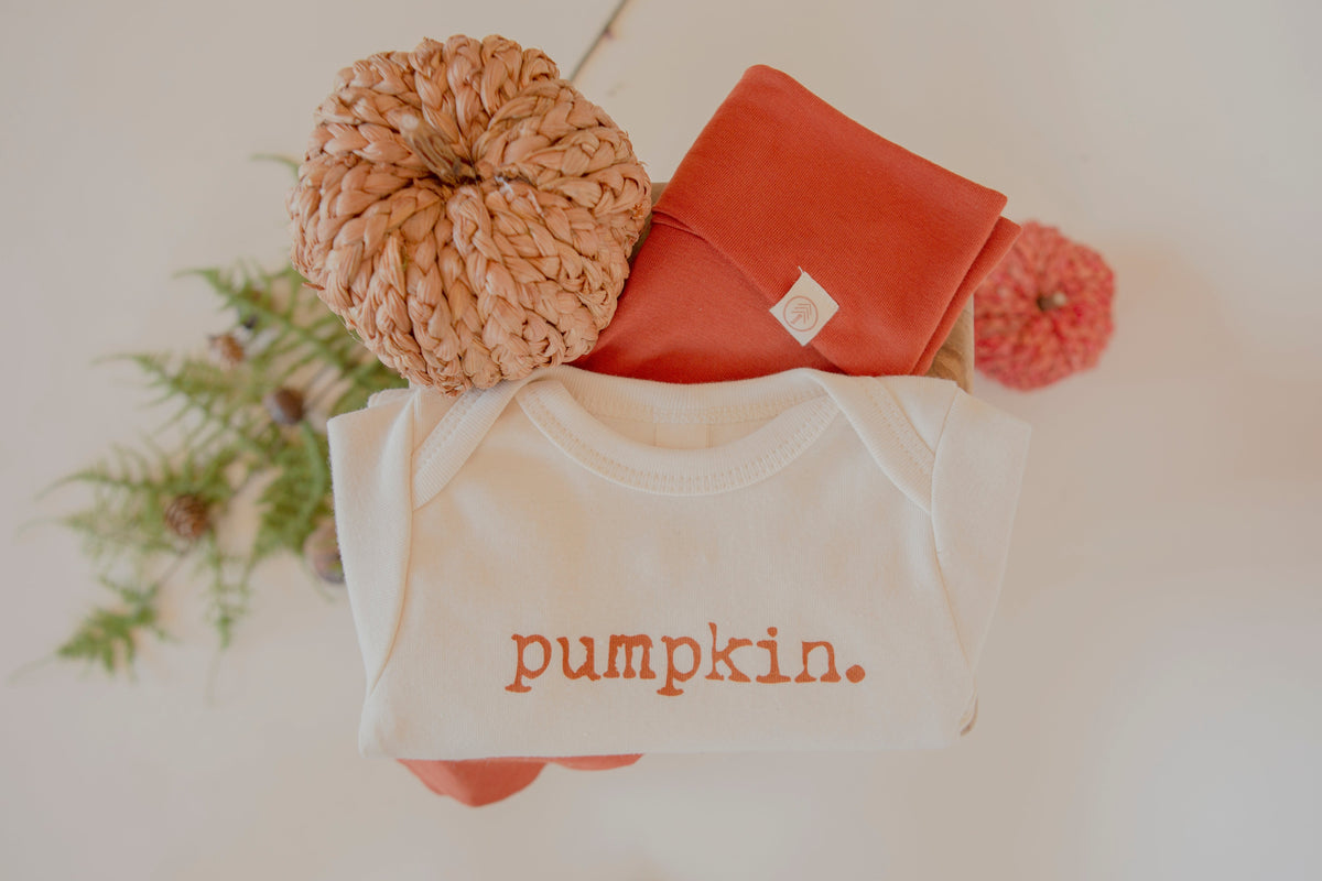 Pumpkin Organic Bodysuit Long Sleeve by Tenth & Pine, product image 13