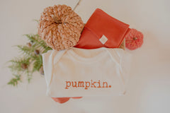 Pumpkin Organic Bodysuit Long Sleeve by Tenth & Pine, product image 13