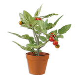 Faux Potted Tomato Plant