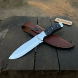 Handmade Full Tang Drop Point Hunting Knife 9-Inch Blade with Ram Horn Handle