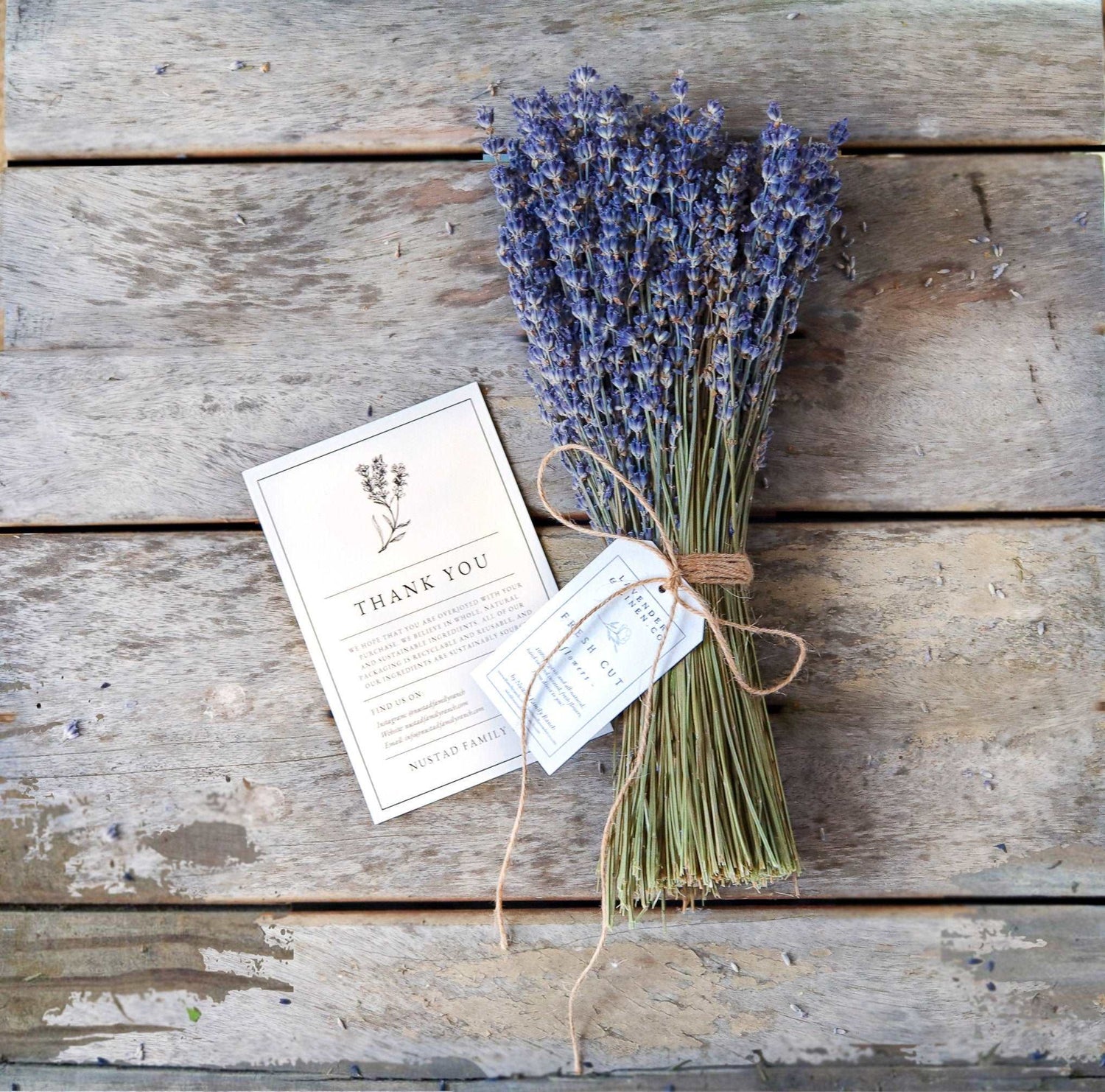 Dried Lavender Bundle – Lavender Gift for Her, Hand Wrapped California Lavender Bouquet