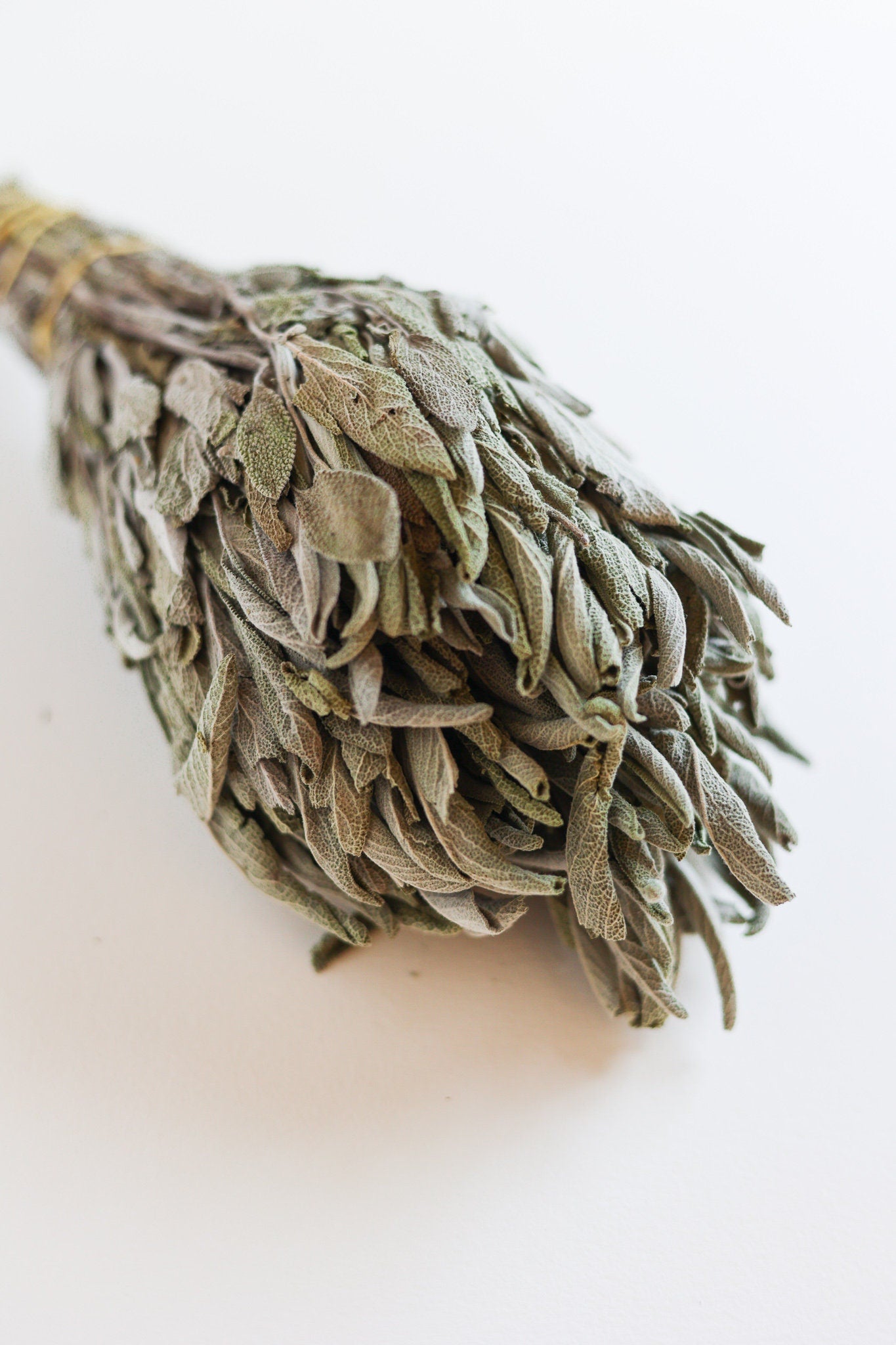 Dried Sage Bundle