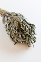Dried Sage Bundle