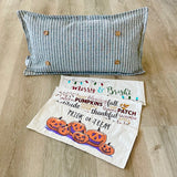 NEW BUNDLE SET: CHARCOAL & CREAM STRIPES Pillow (comes with foam insert and these 3 panels in back pocket); Winter Spring Summer Fall Autumn; TRICK OR TREAT, SUBWAY, MERRY & BRIGHT