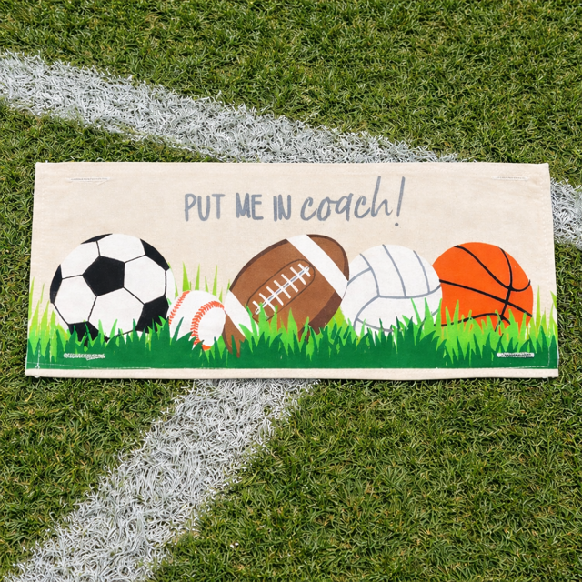 ALL SPORTS PANEL ONLY: RECTANGLE All Sports Superbowl Winter Spring Summer Fall Football Basketball, Baseball, Soccer, Volleyball Super Bowl Autumn; SPORTS PANEL