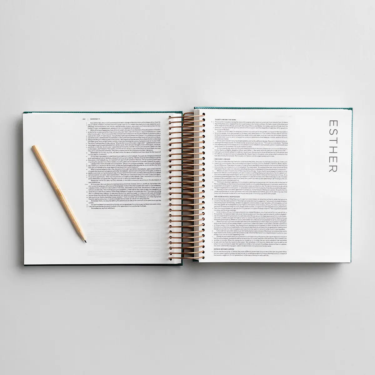 DaySpring - CSB Illustrating Journaling Bible – Green Faux Leather