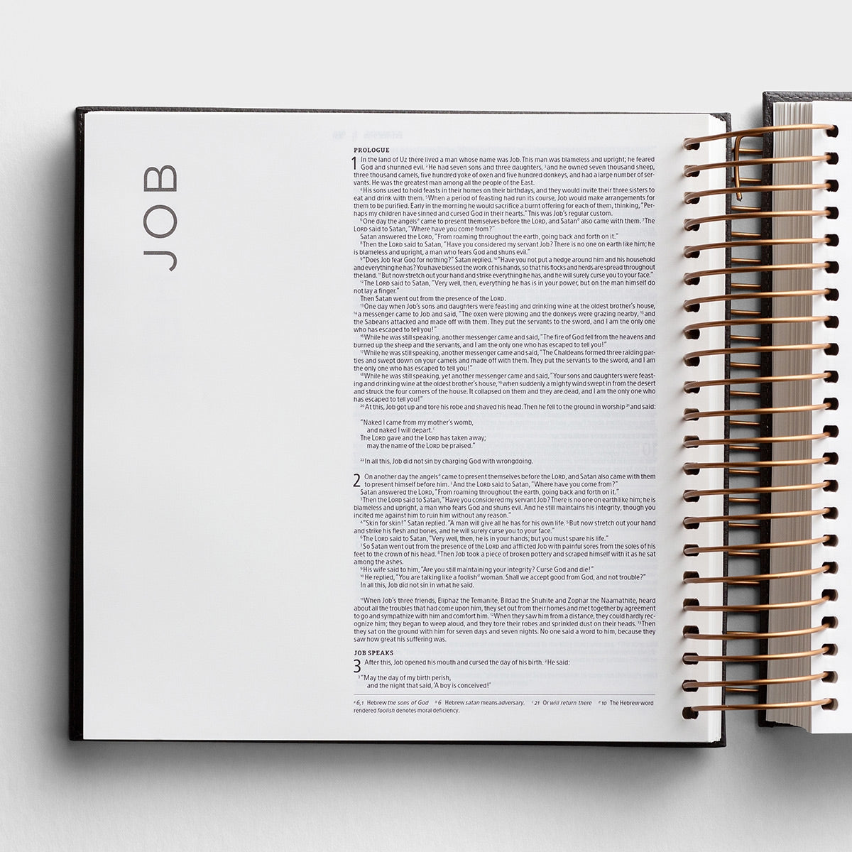 DaySpring - NIV Illustrating Journaling Bible – Dark Grey Faux Leather