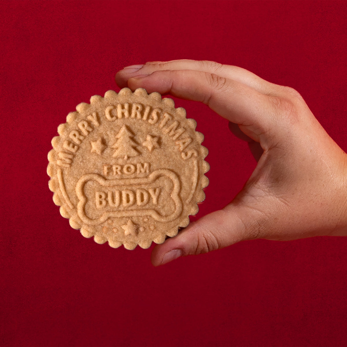 Christmas Cookie Press - Holly Jolly