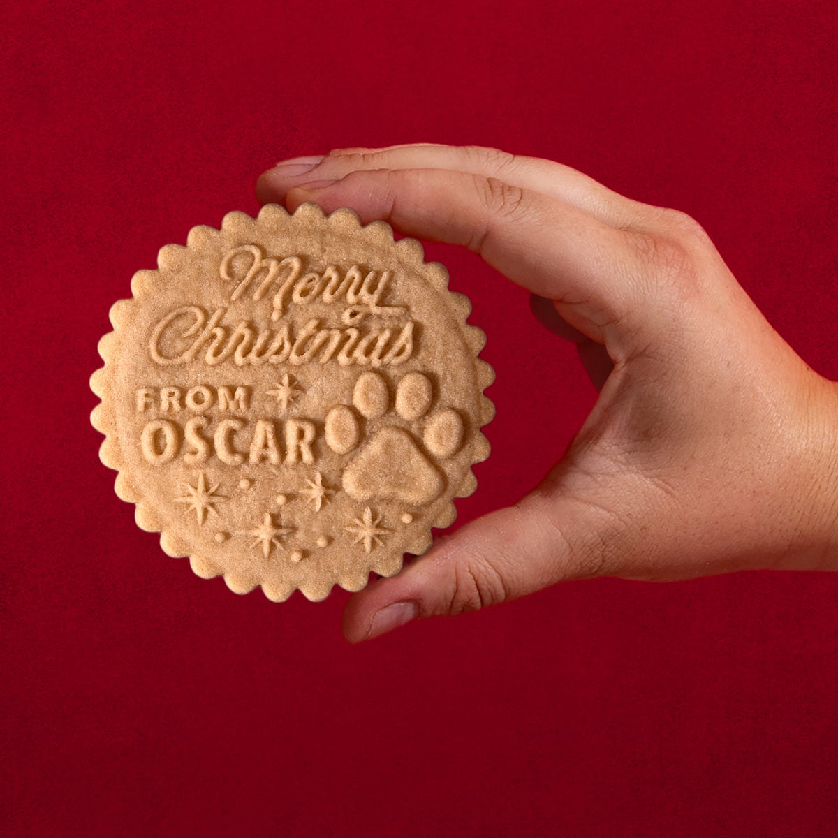 Christmas Cookie Press - Holly Jolly