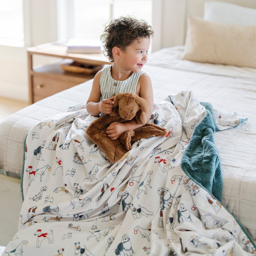 Minky/Lush XL Blankets by Saranoni, product image 9