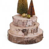 Natural Birch Wood Slice Display Risers