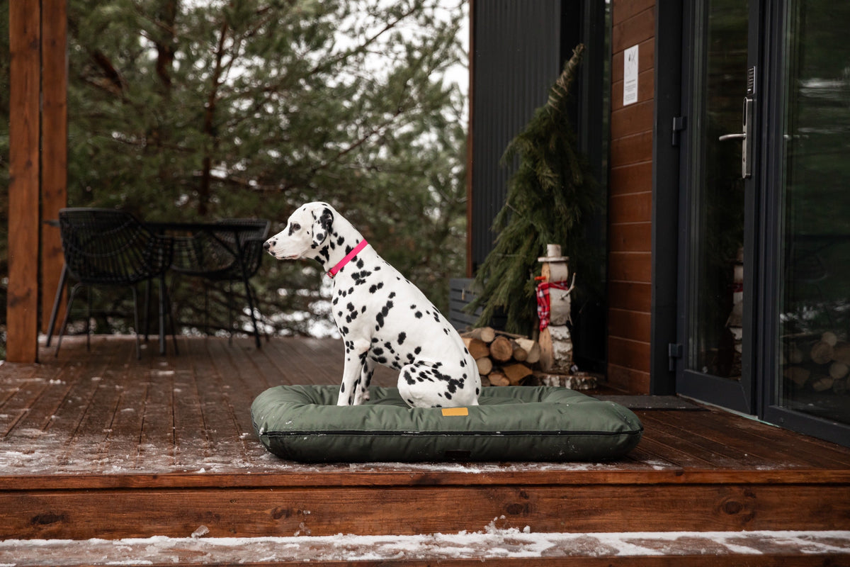 Chester & Lee | Waterproof Lounger Dog Bed Green by Chester & Lee, product image 5