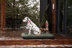 Chester & Lee | Waterproof Lounger Dog Bed Green by Chester & Lee, product image 5